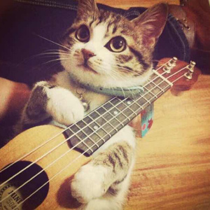 美女图片秀人网恩爱
