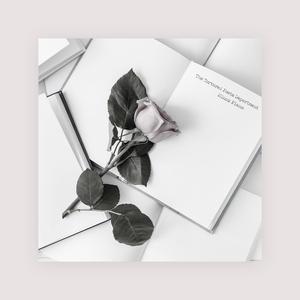 美女图片秀人网恩爱
